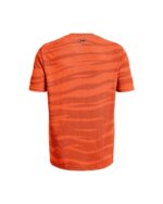 1373726 520230724163501361