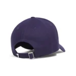 90000101 1389695 410 720016203 0 14Y9 02 1741656604