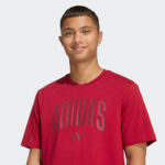 adidas sportswear m collegiate lineage graphic t s 2
