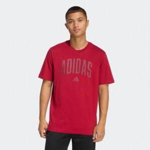 adidas sportswear m collegiate lineage graphic t s