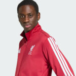 adidas m liverpool fc dna track top (3)