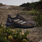 Terrex Anylander Rain.Rdy Hiking Shoes Brown KJ0863 HM3 hover